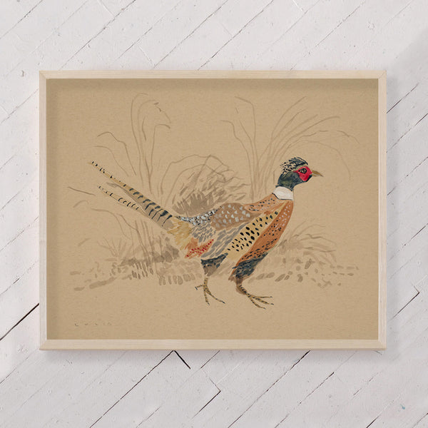 Pheasant No. 2 - 11 x 14" Print