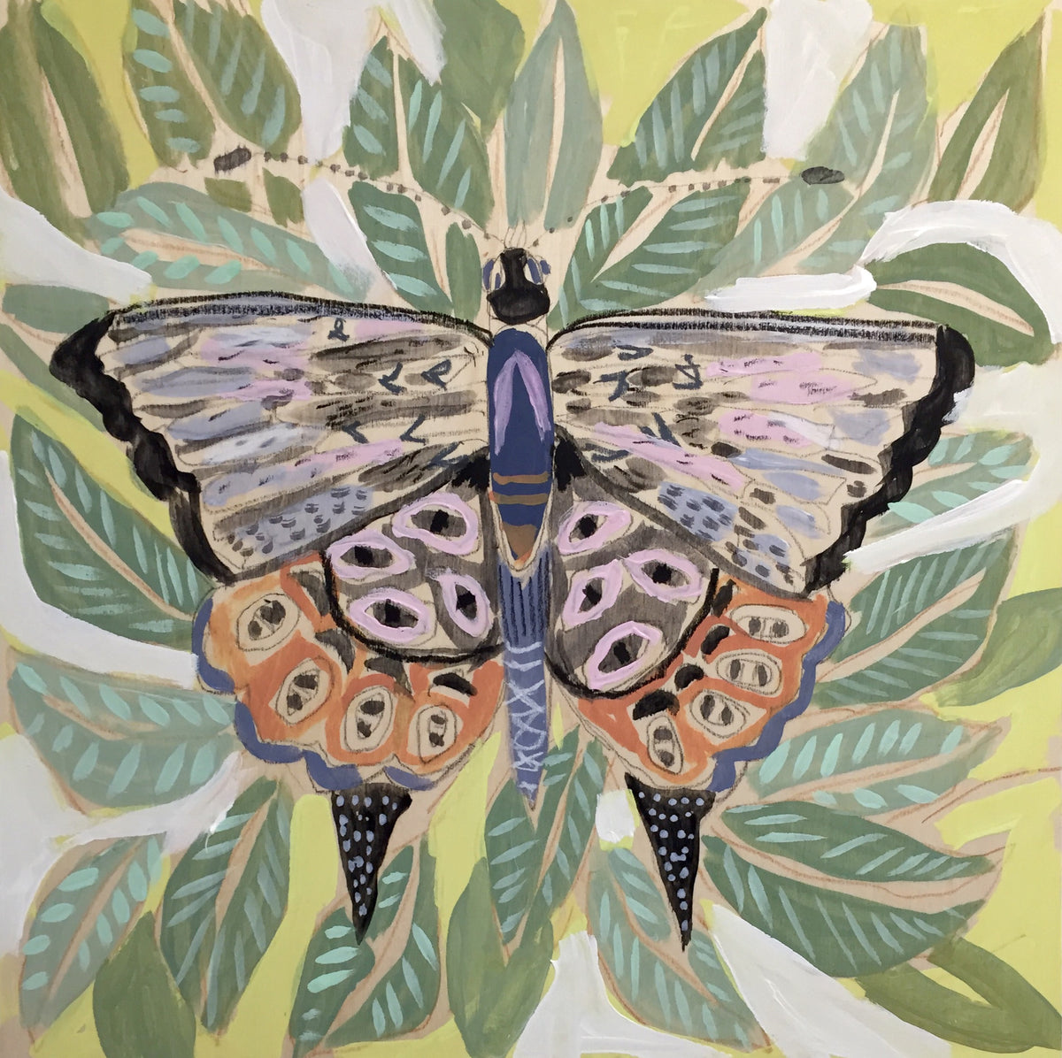 14X14 - TIBBY THE BUTTERFLY