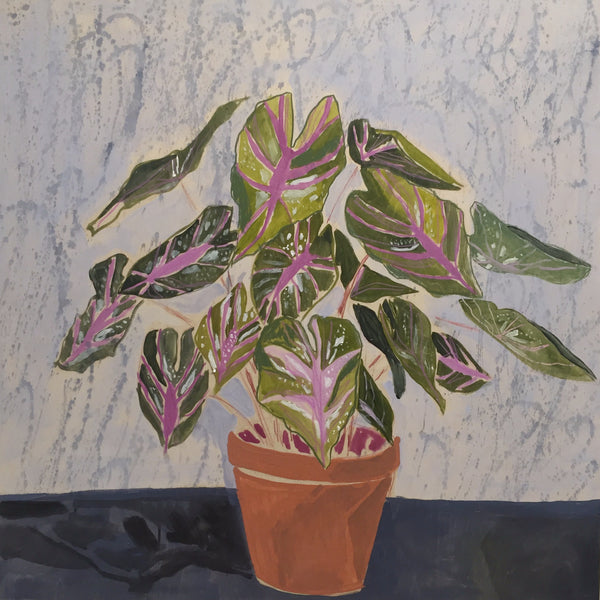Caladiums for Charlotte - 36X36