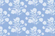 Anna - Cornflower Blue