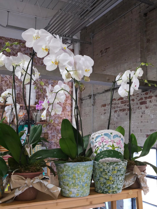 Basket Painting Class (4/14 at 3:00pm)