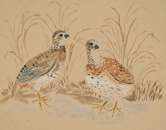 Two Quails - 11 x 14" Print