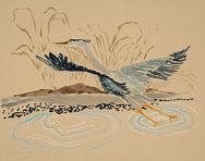 *New* Blue Heron No. 1 - 11 x 14" Print