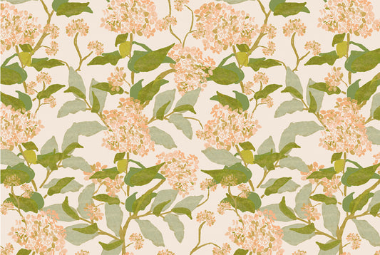 Grier - Peach Hydrangea