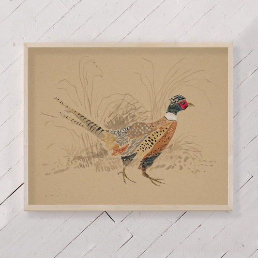 Pheasant No. 2 - 11 x 14" Print
