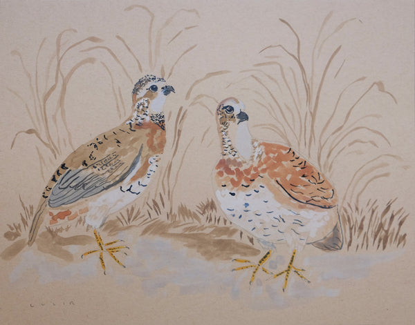 Two Quails