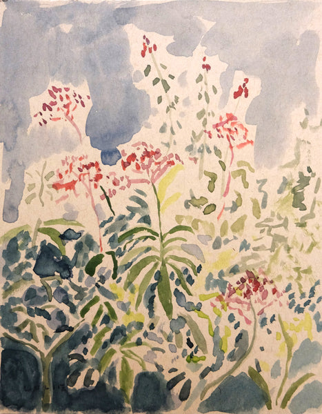 Farm Wildflowers No. 7