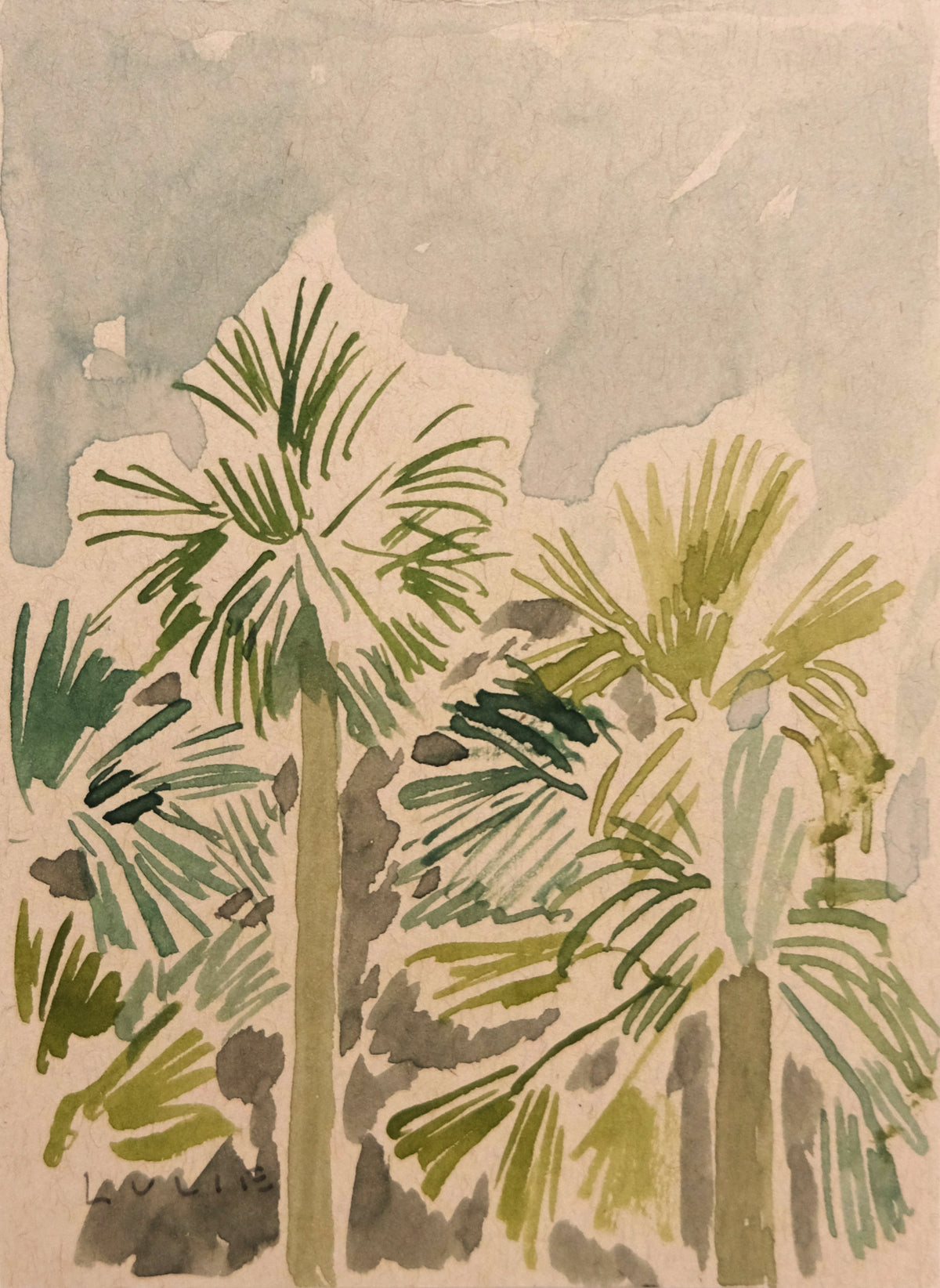 Palms from the Kitchen No. 3