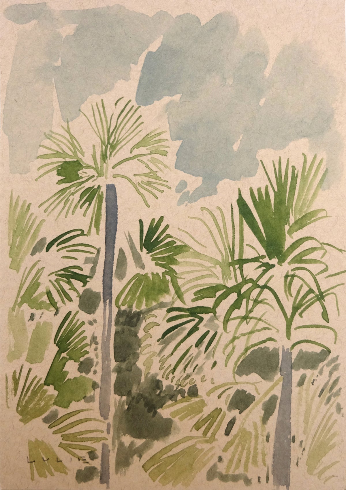 Palms from the Kitchen No. 2