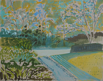 View from my Backyard