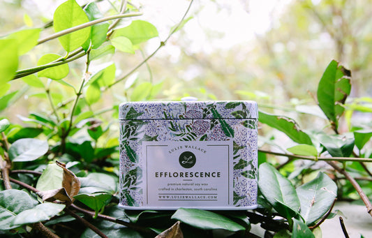 Efflorescence Soy Candle