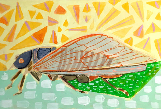 12X18 -  CURTIS THE CICADA