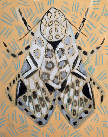 11X14 - MILLIE THE MOTH