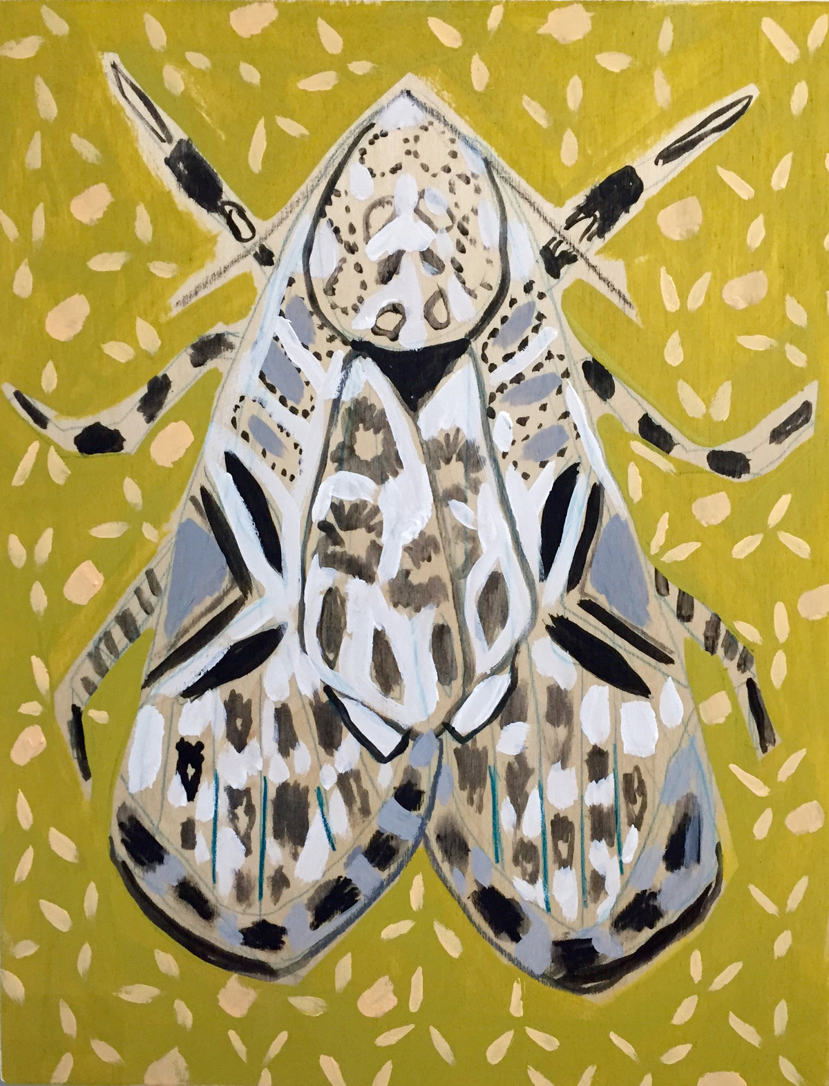 11X14 - MABEL THE MOTH