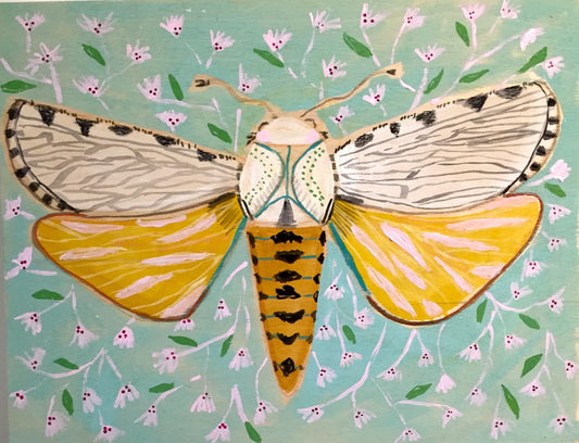 18X14 - LIZA THE MOTH