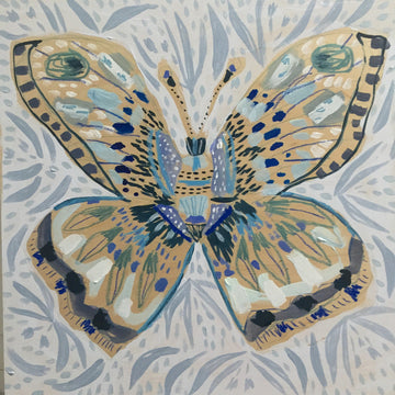 16x16 - HAYDEN THE BUTTERFLY