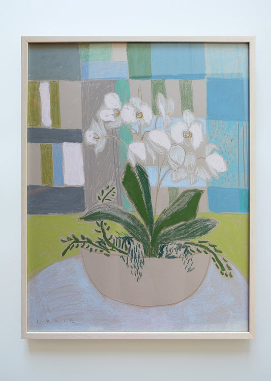 Framed Orchid No. 5 - 20.5 x 26.5