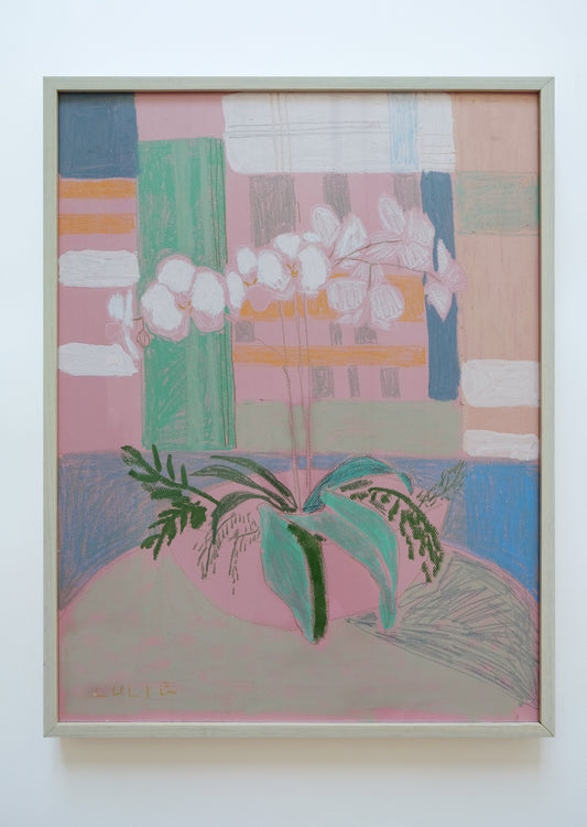 Framed Orchid No. 14 - 20.5 x 26.5