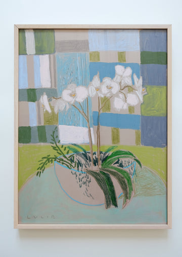 Framed Orchid No. 9 - 20.5 x 26.5