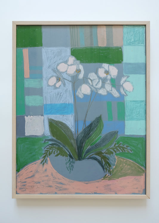 Framed Orchid No. 10 - 20.5 x 26.5
