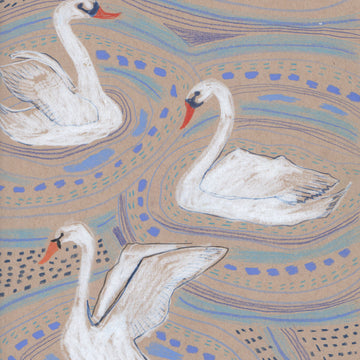 "S" is for Swan