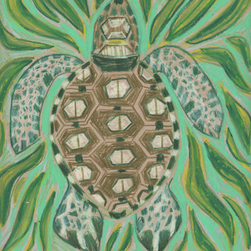 "T" is for Turtle