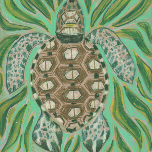 "T" is for Turtle
