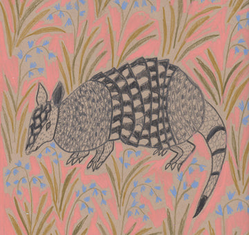 "A" is for Armadillo