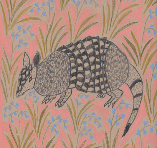 "A" is for Armadillo