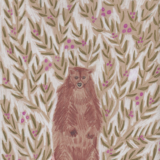 "B" is for Bear