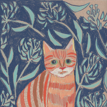 "C" is for Cat
