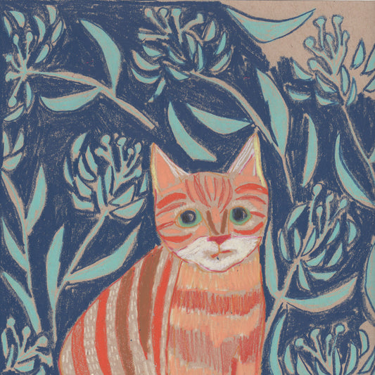 "C" is for Cat