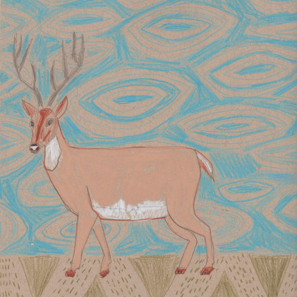 "D" is for Deer