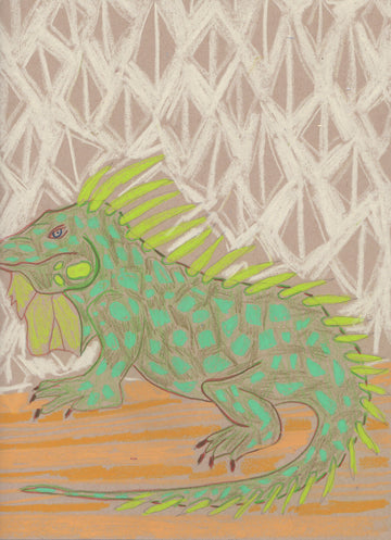"I" is for Iguana