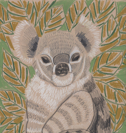 "K" is for Koala