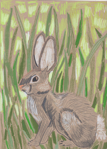 "R" is for Rabbit