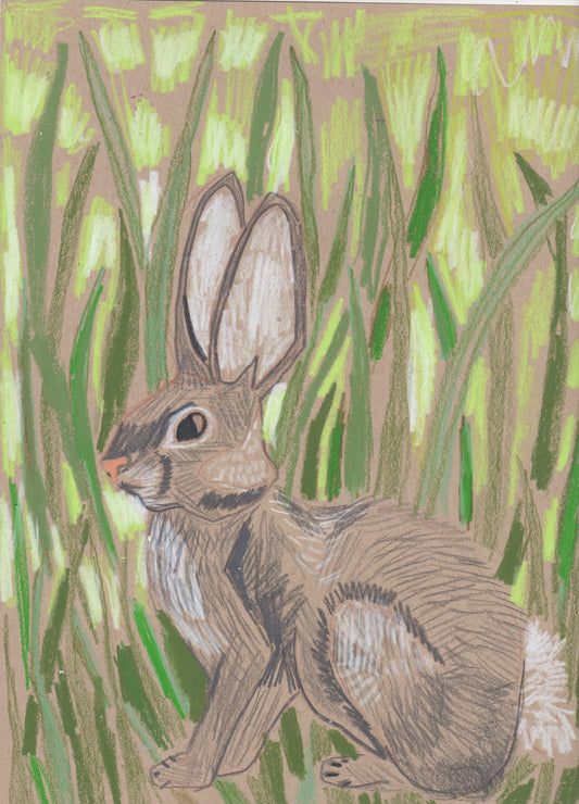 "R" is for Rabbit