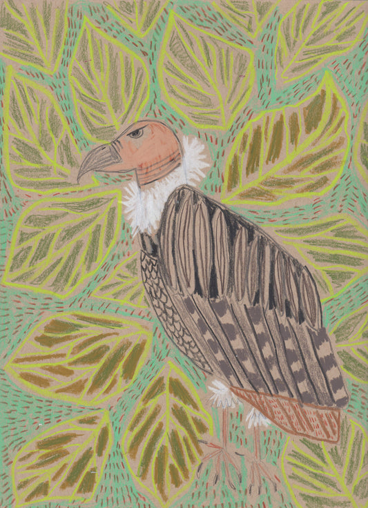 "V" is for Vulture