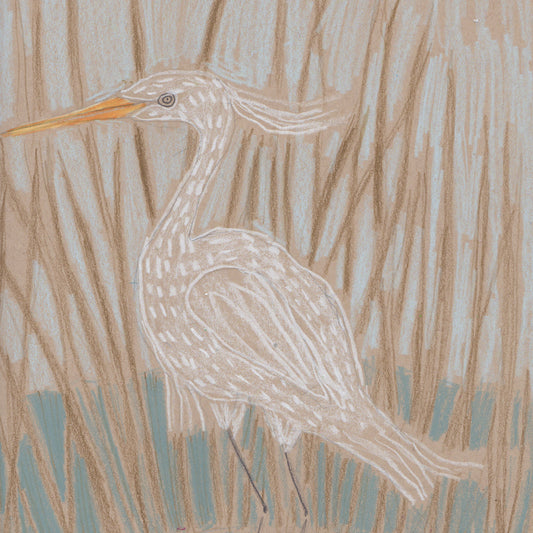 "E" is for Egret