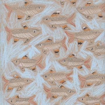 "X" is for X-Ray Fish