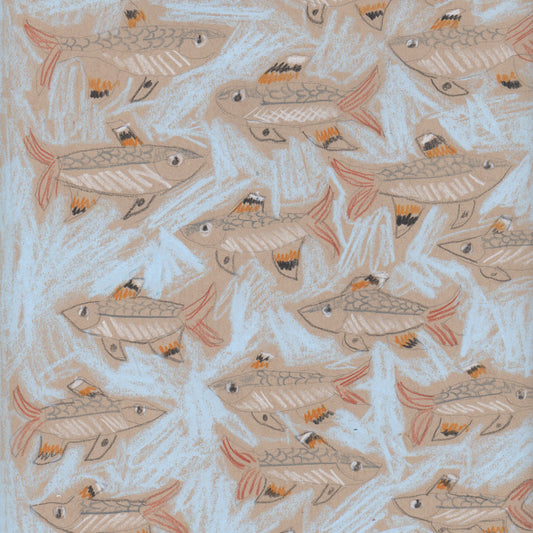 "X" is for X-Ray Fish
