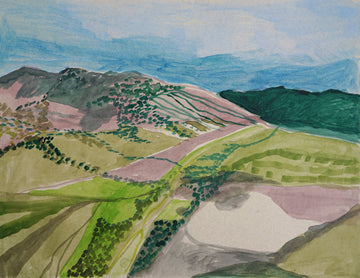 COLORado Sketch No. 5